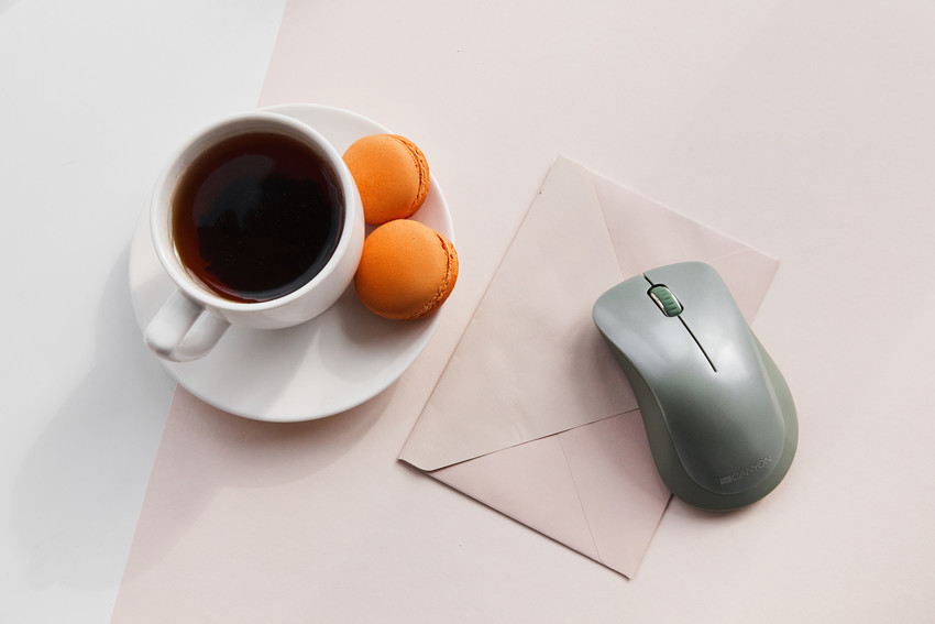 How to choose a mouse in 2026 – CANYON Blog